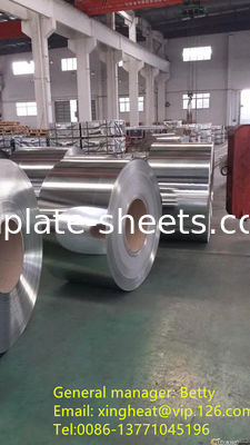 Kamienny wykończenie blacha 2,8/2,8 inplate Mill Factory Producent T2.5 T3 T4 T5 DR8 DR9